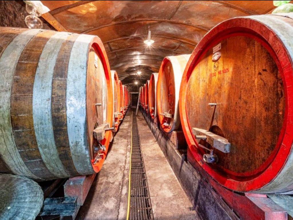 Rustico / casale a Montepulciano - Foto 3