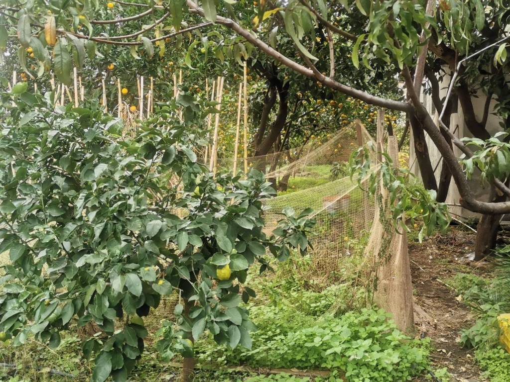 Rustico / casale a Milazzo in Via Tonnara di Santa Lucia, 4 - Foto 5