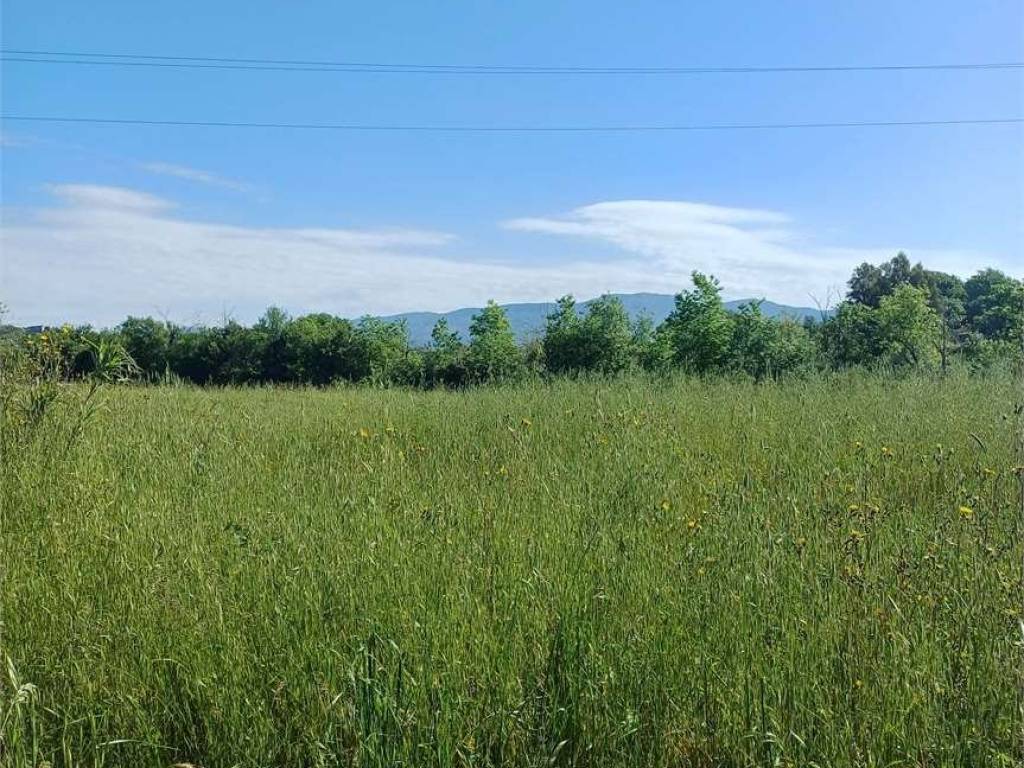 Terreno a Spigno saturnia - Foto 2
