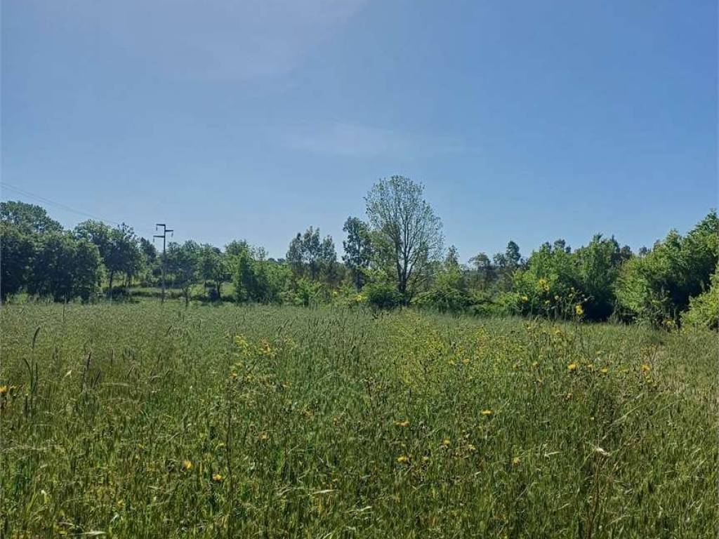 Terreno a Spigno saturnia - Foto 3