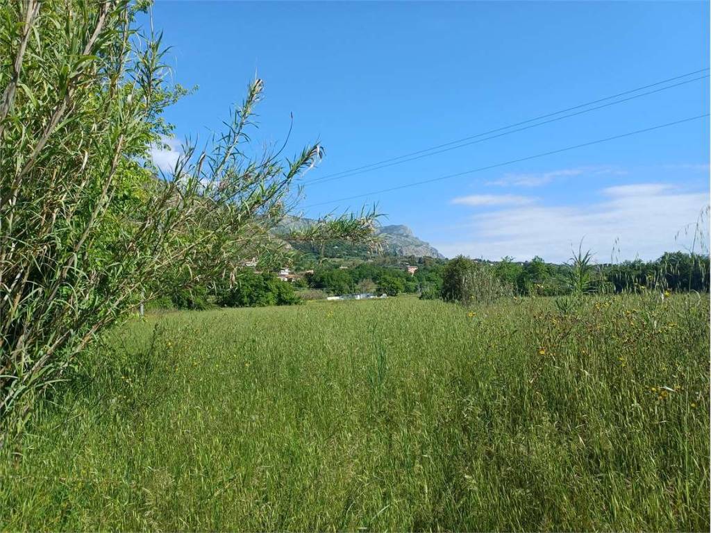 Terreno a Spigno saturnia - Foto 5