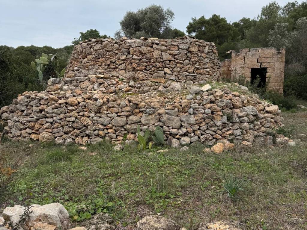 Rustico / casale a Nardò in SP286, 102 - Foto 2