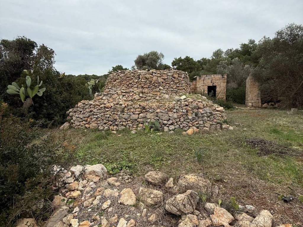 Rustico / casale a Nardò in SP286, 102 - Foto 3