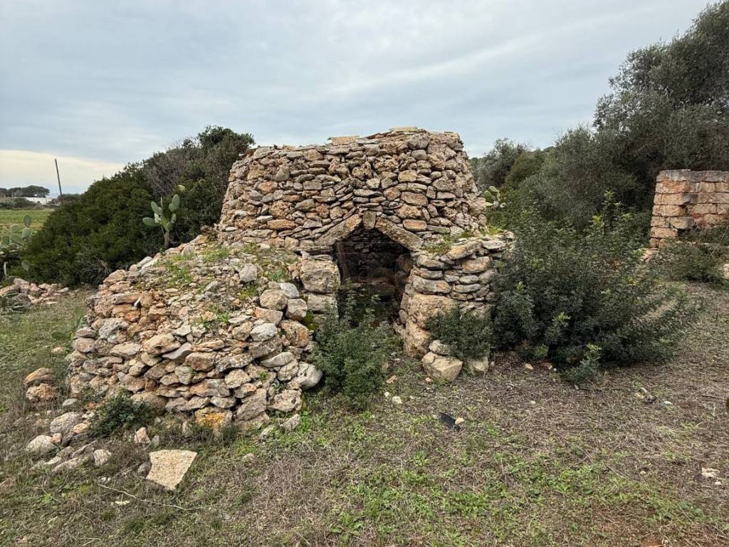 Rustico / casale a Nardò in SP286, 102 - Foto 4