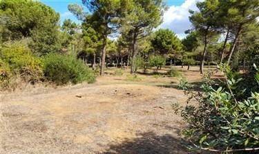 Appartamento a Piombino in Località Poggio Rosso - Foto 5