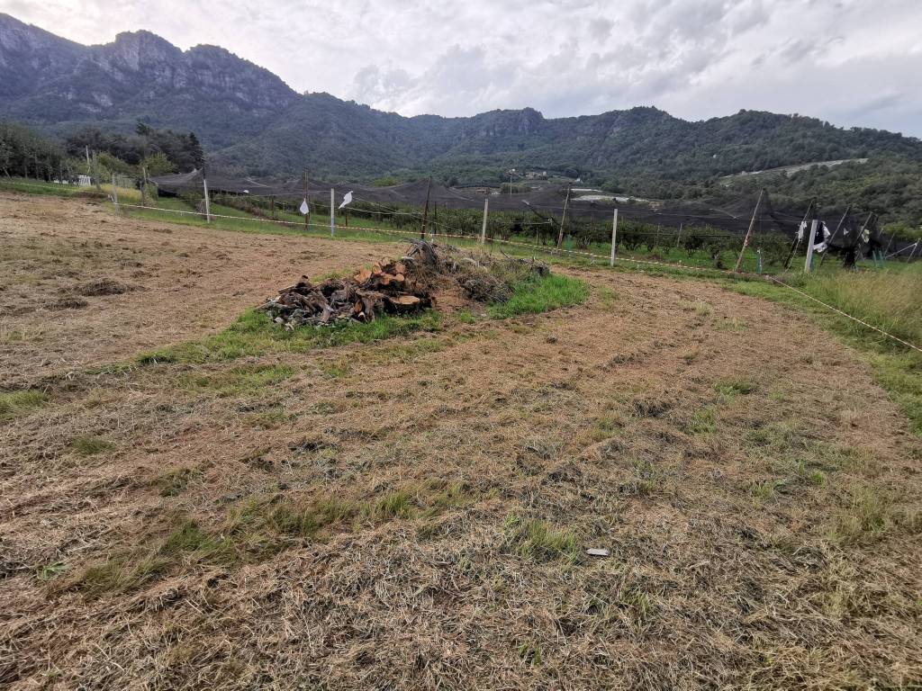 Terreno a Envie in Via Madonna Occa, snc - Foto 5