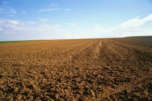 Terreno a Caravaggio in SP185 - Foto 3