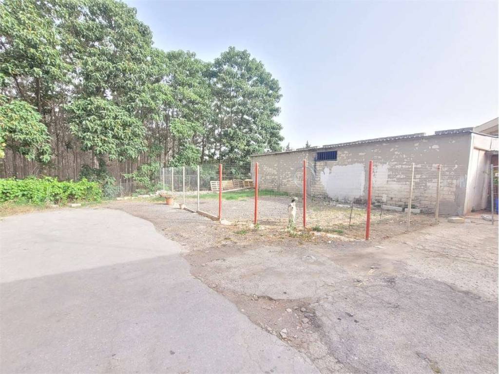 Terreno a Cerignola in VIA TORRE QUARTO - Foto 2