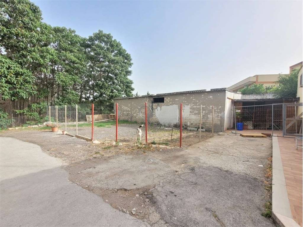 Terreno a Cerignola in VIA TORRE QUARTO - Foto 3
