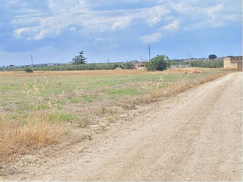 Terreno a Cerignola in VIALE USA - Foto 2