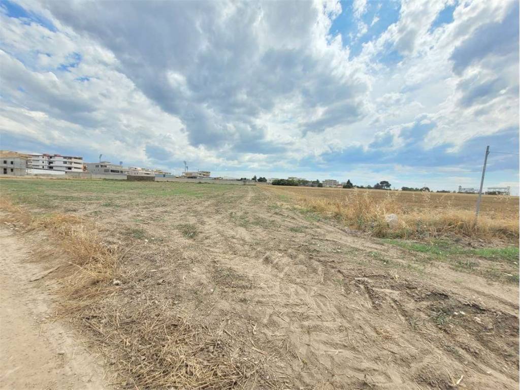 Terreno a Cerignola in VIALE USA - Foto 3