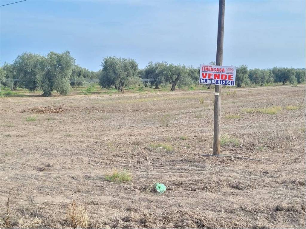 Terreno a Cerignola in S.S. 16 - Foto 2