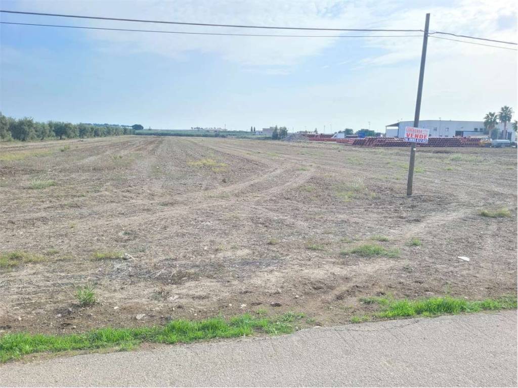 Terreno a Cerignola in S.S. 16 - Foto 3