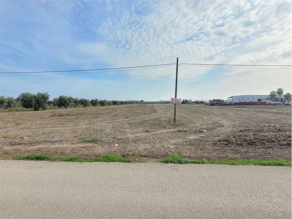 Terreno a Cerignola in S.S. 16 - Foto 4