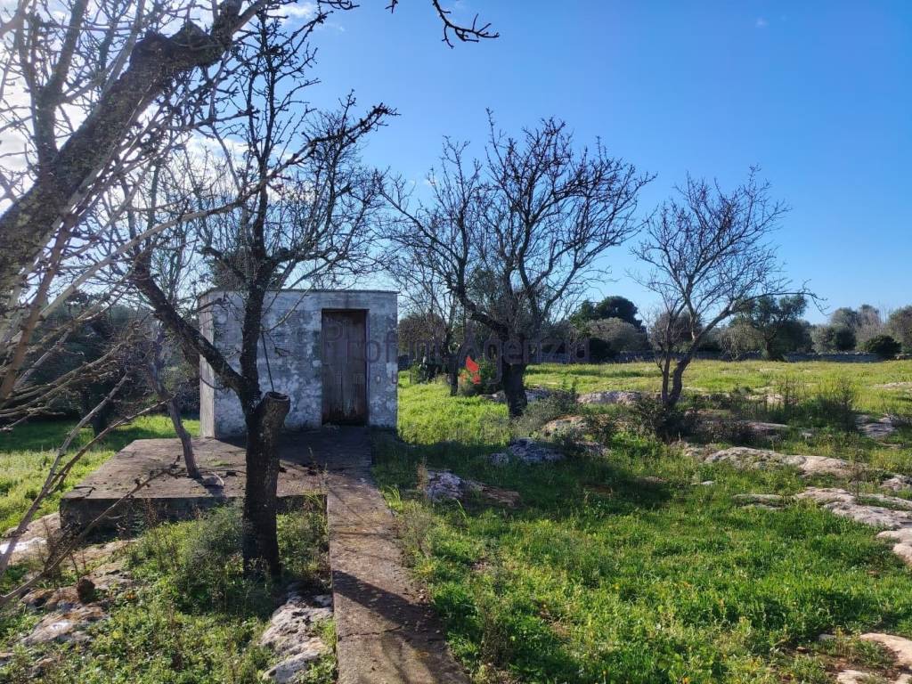 Rustico / casale a Carovigno - Foto 4