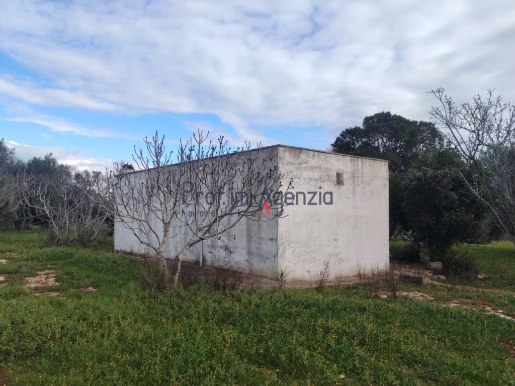 Rustico / casale a Carovigno - Foto 5