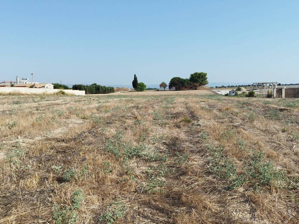 Terreno a Noto in Contrada Baracchino - Foto 2