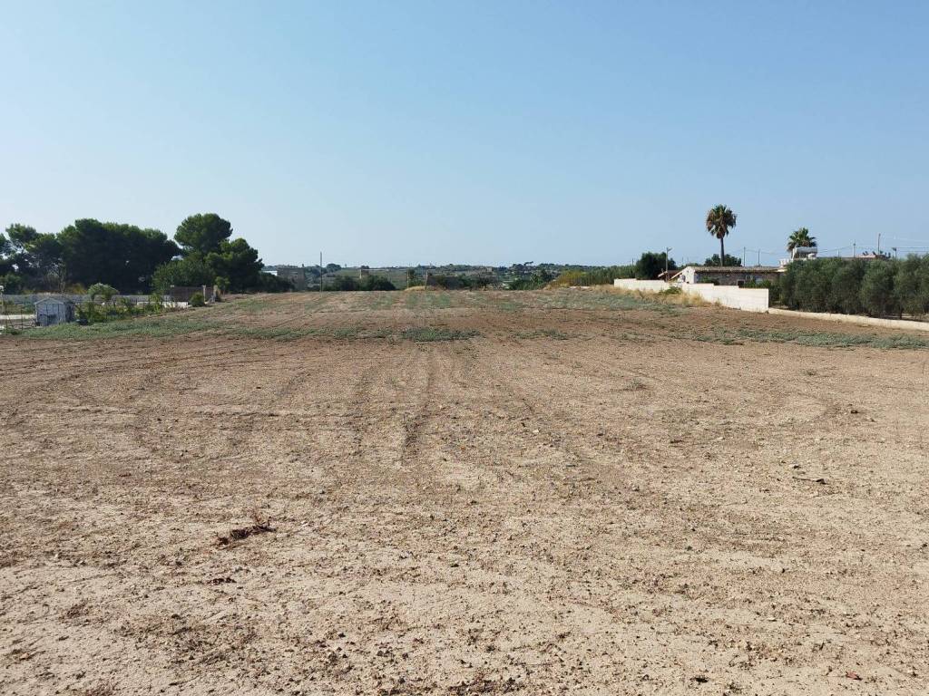 Terreno a Noto in Contrada Baracchino - Foto 5