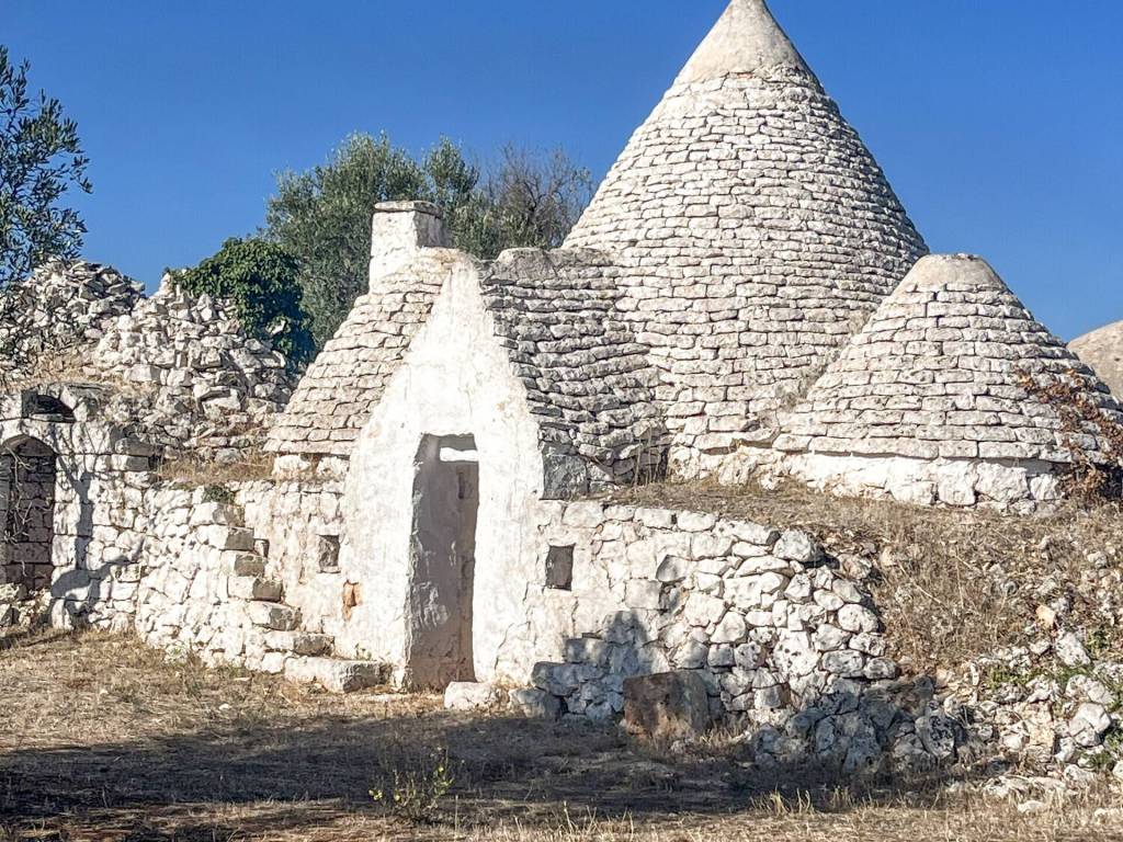 Rustico / casale a San michele salentino in CONTRADA SARDELLA - Foto 3
