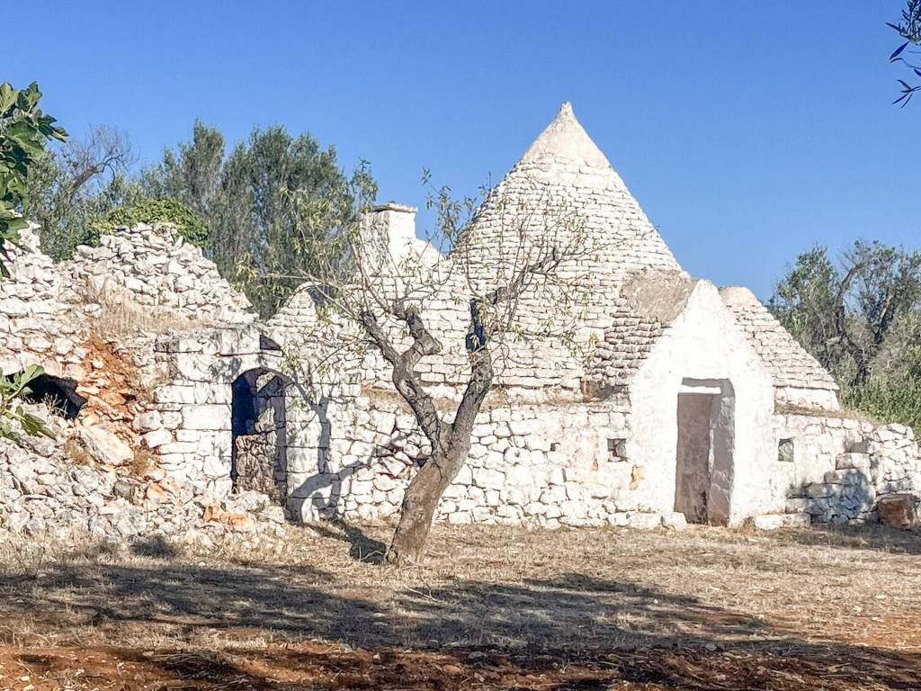 Rustico / casale a San michele salentino in CONTRADA SARDELLA - Foto 4