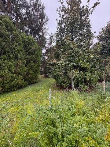 Villa a Sasso marconi - Foto 4