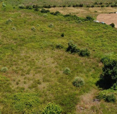 Terreno a Pontecagnano faiano in Via Antonio Pacinotti - Foto 2