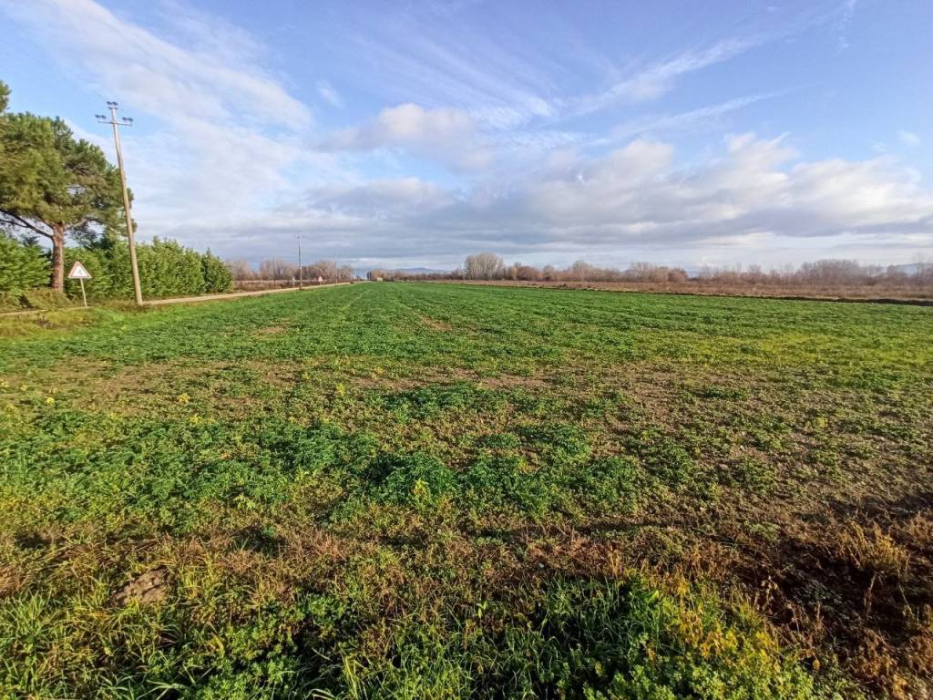 Terreno a Panicale in Strada Vicinale di Casa Bruciata - Foto 4