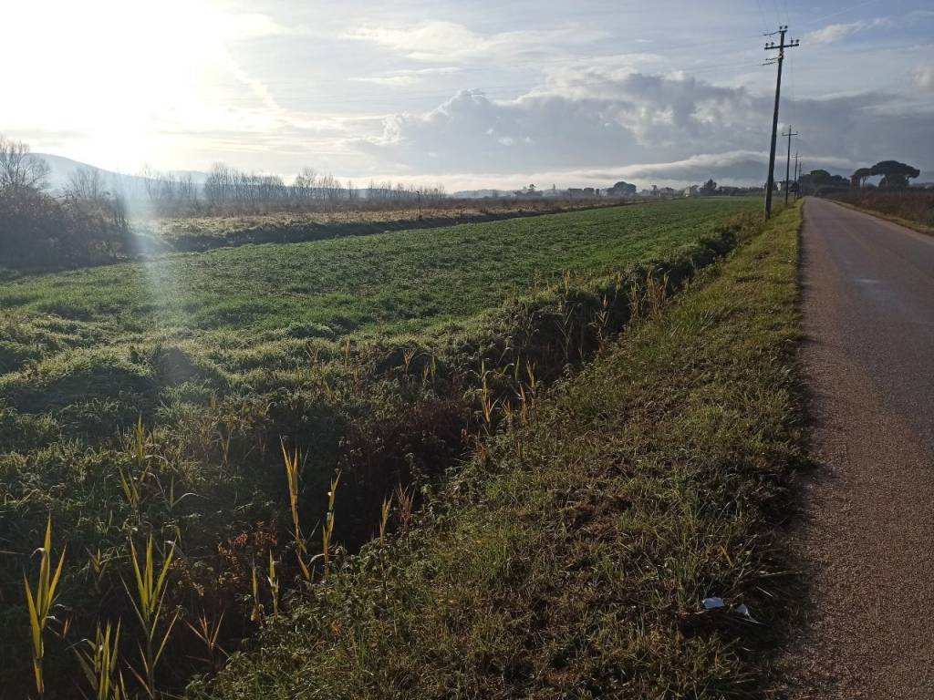 Terreno a Panicale in Strada Vicinale di Casa Bruciata - Foto 5