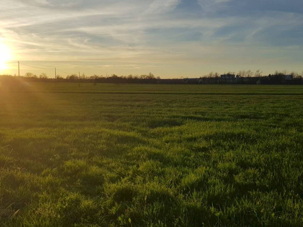 Terreno a Castelvetro di modena in Via Ossi - Foto 5