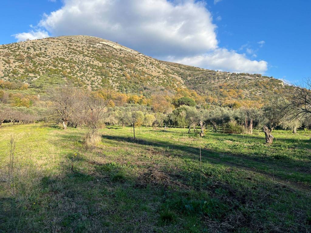 Terreno a Caserta in Vicolo Marsilio Ficino - Foto 2