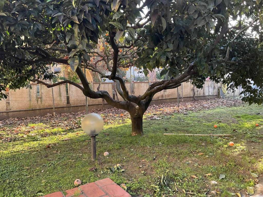 Villa a Viareggio - Foto 3