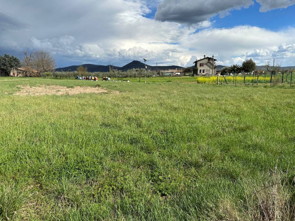 Terreno a Castiglione del lago in Via Serra - Foto 2