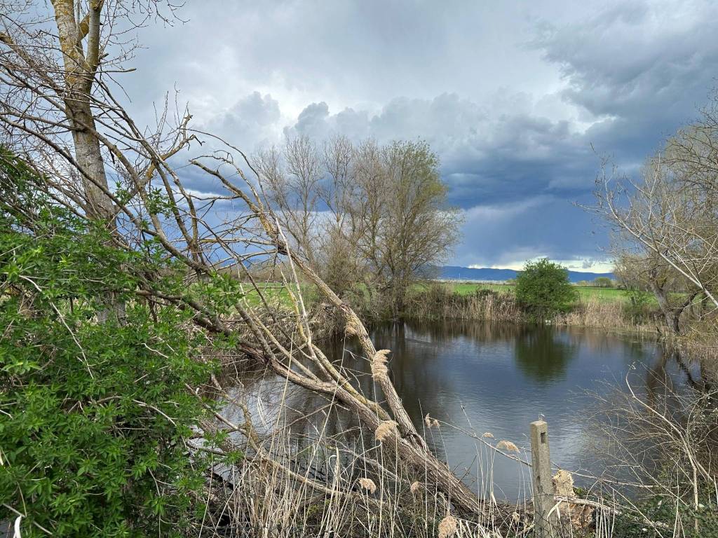 Terreno a Castiglione del lago in Via Roma - Foto 2
