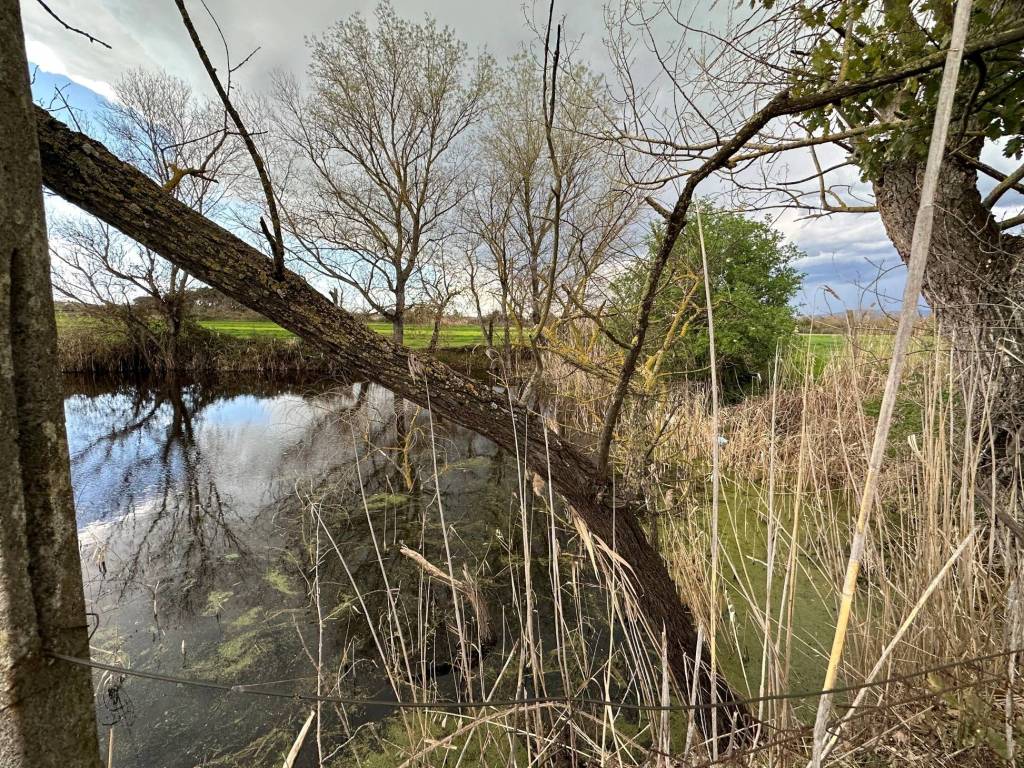 Terreno a Castiglione del lago in Via Roma - Foto 4