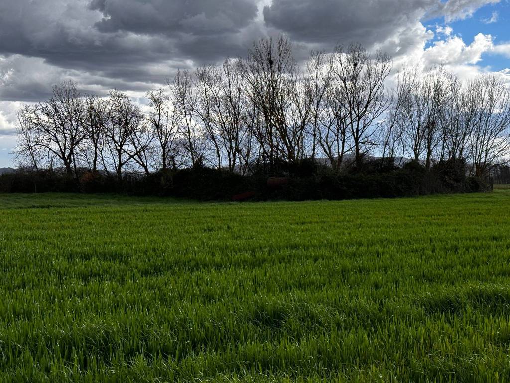 Terreno a Castiglione del lago in Via Roma - Foto 2