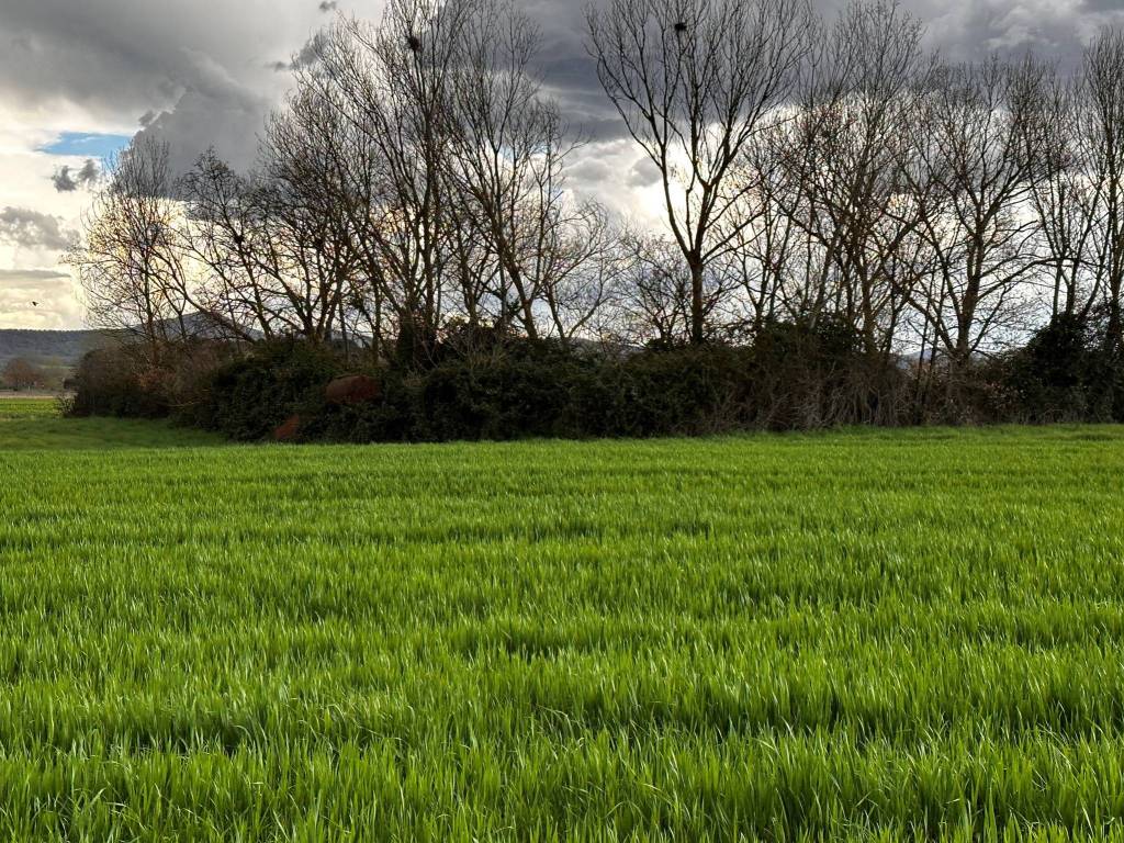 Terreno a Castiglione del lago in Via Roma - Foto 3