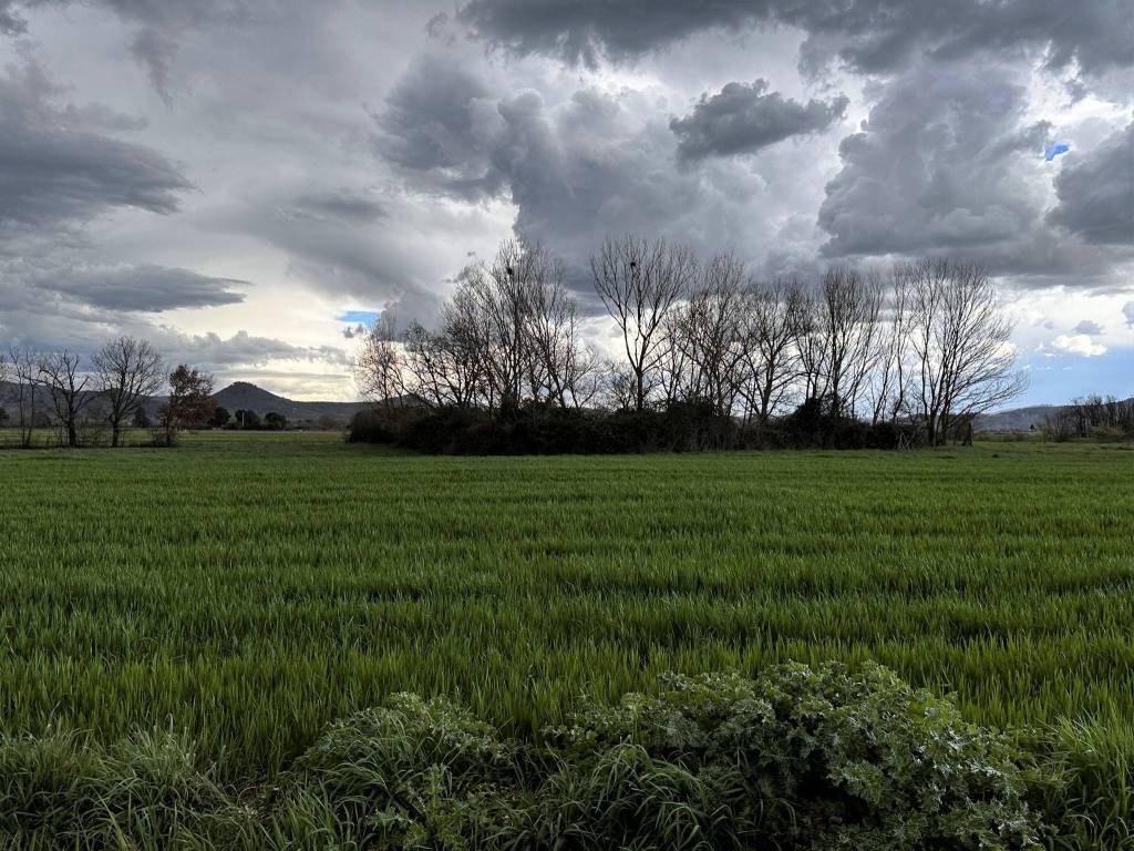 Terreno a Castiglione del lago in Via Roma - Foto 4