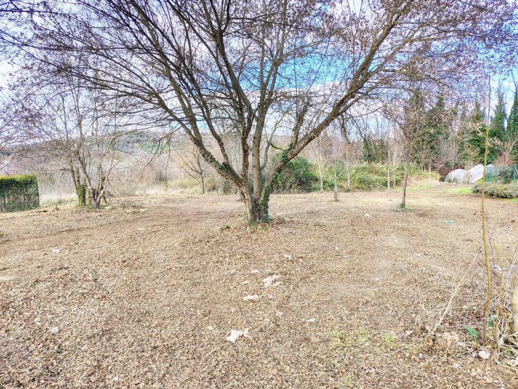 Terreno a Fara filiorum petri in Via San Giacomo, 39 - Foto 5