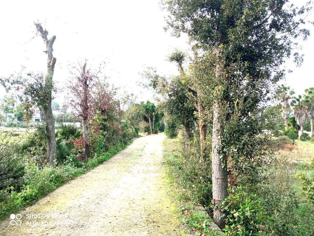 Villa a Galatina in Strada Provinciale 18 - Foto 4