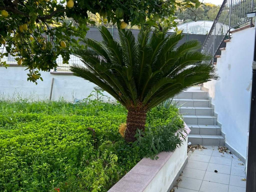 Villa a Soverato in Contrada Turrati - Foto 5