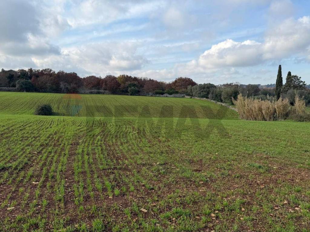 Terreno a Martina franca in Strada Rospano - Foto 3