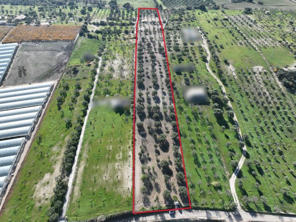 Terreno a Noto in Contrada Agliastro - Foto 2