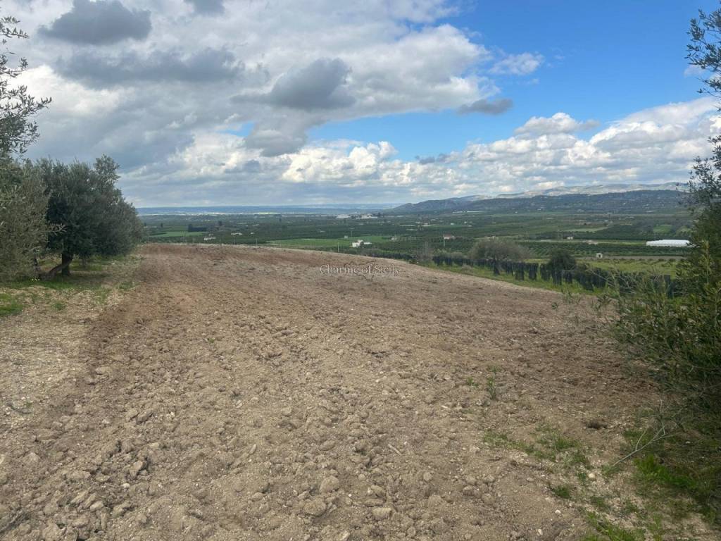 Terreno a Noto - Foto 3