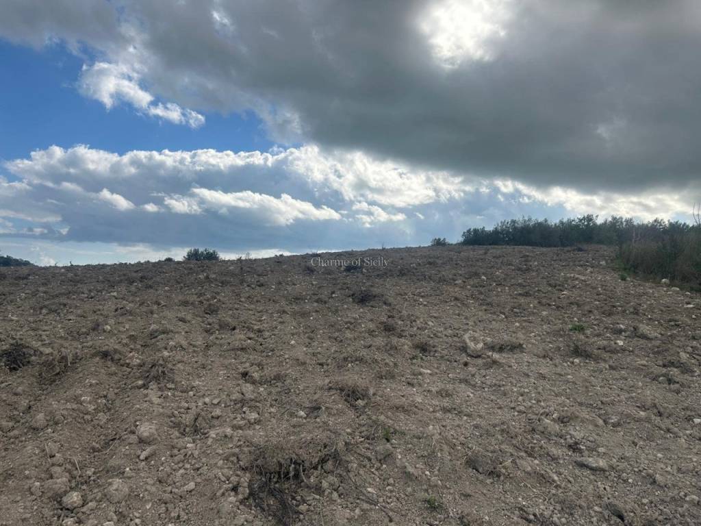 Terreno a Noto - Foto 4