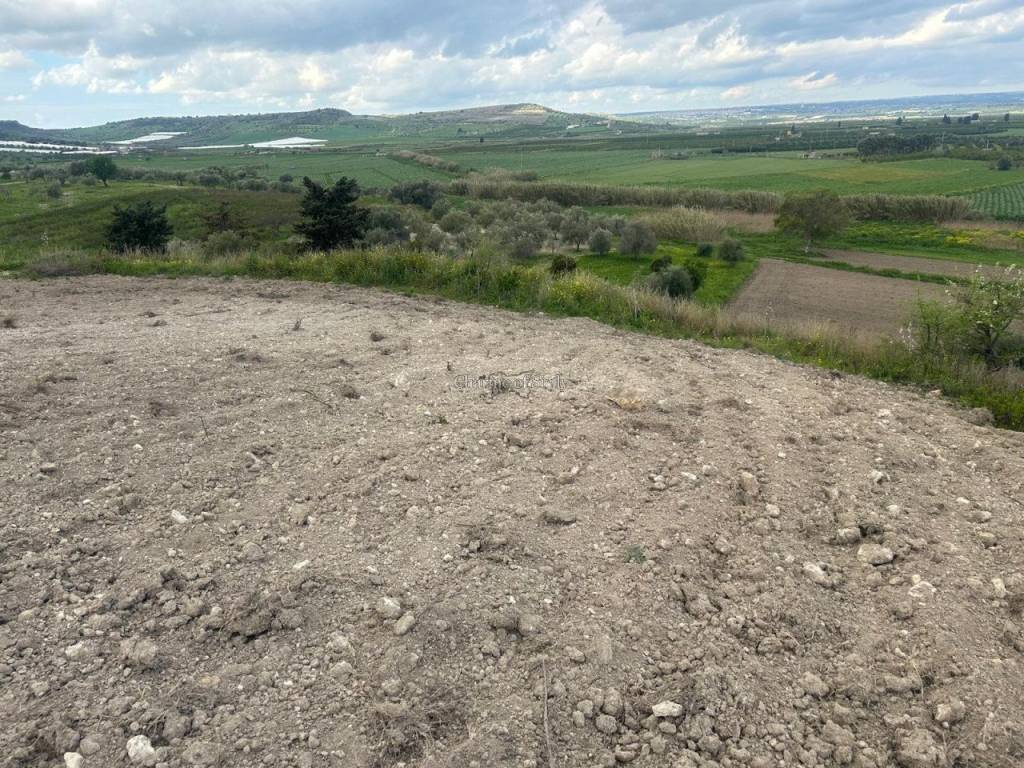 Terreno a Noto - Foto 5