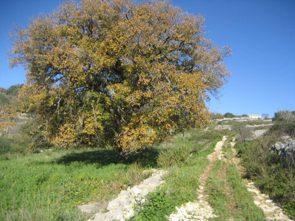 Casa indipendente a Modica in San Silvestro Rassabia - Foto 4
