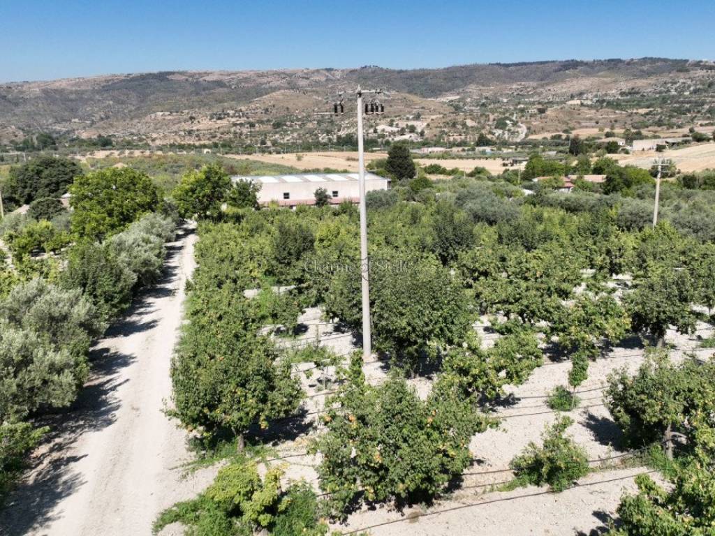 Terreno a Giarratana in sc monterotondo - Foto 3