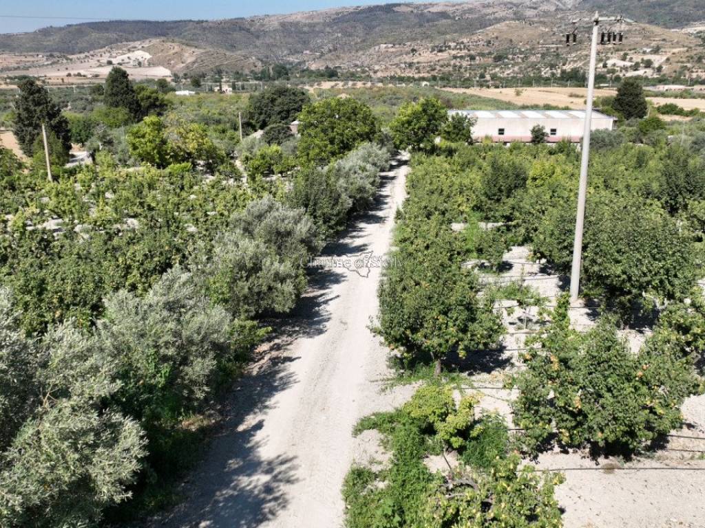 Terreno a Giarratana in sc monterotondo - Foto 4