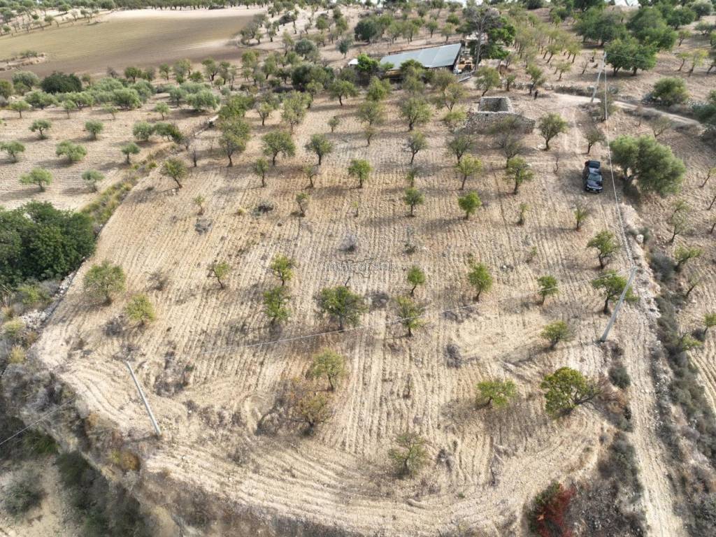 Rustico / casale a Noto in C.da Carcicena - Foto 3