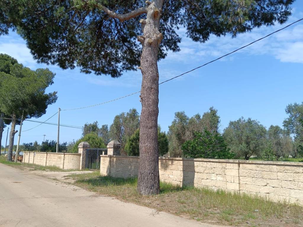 Terreno a Nardò in Strada Torre Termite - Foto 4